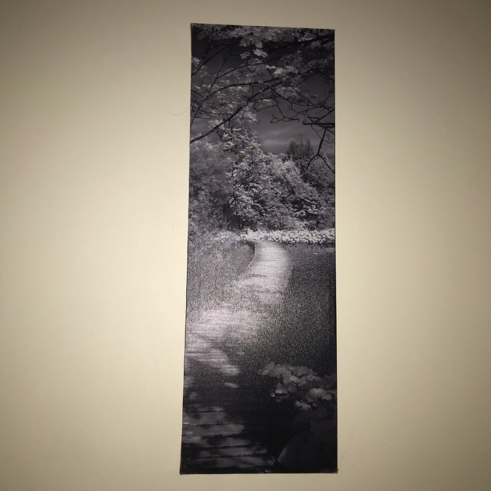 Valley picture